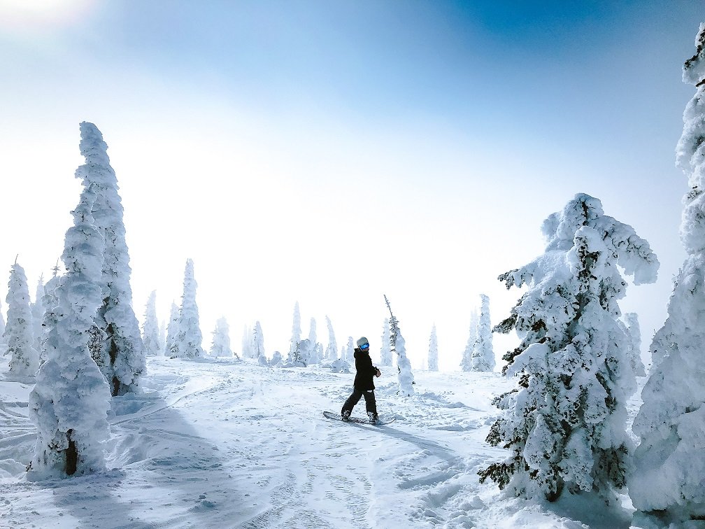 A person on a snowboard looking back to the camera on a snowy surface surrounded by trees